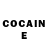 COCAIN Fish Scale B1 224