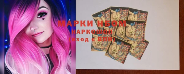 сатива Надым