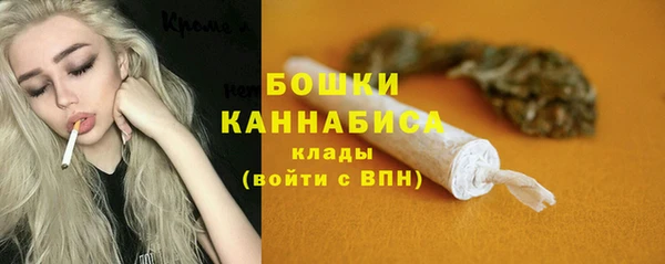 PSILOCYBIN Михайловка