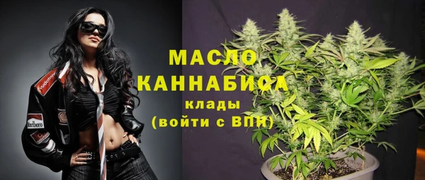 сатива Надым